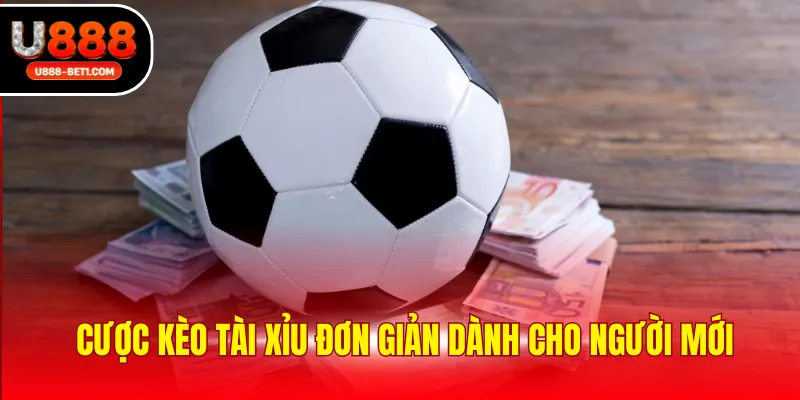 Cược kèo tài xỉu đơn giản dành cho người mới
